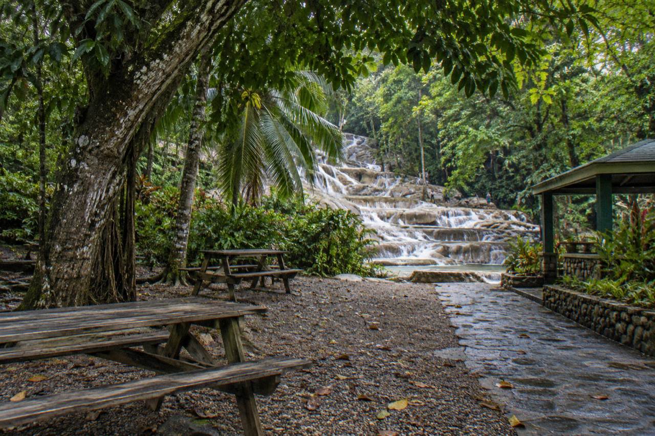 Shaded picnic tables beside the entrance of a tropical waterfall park