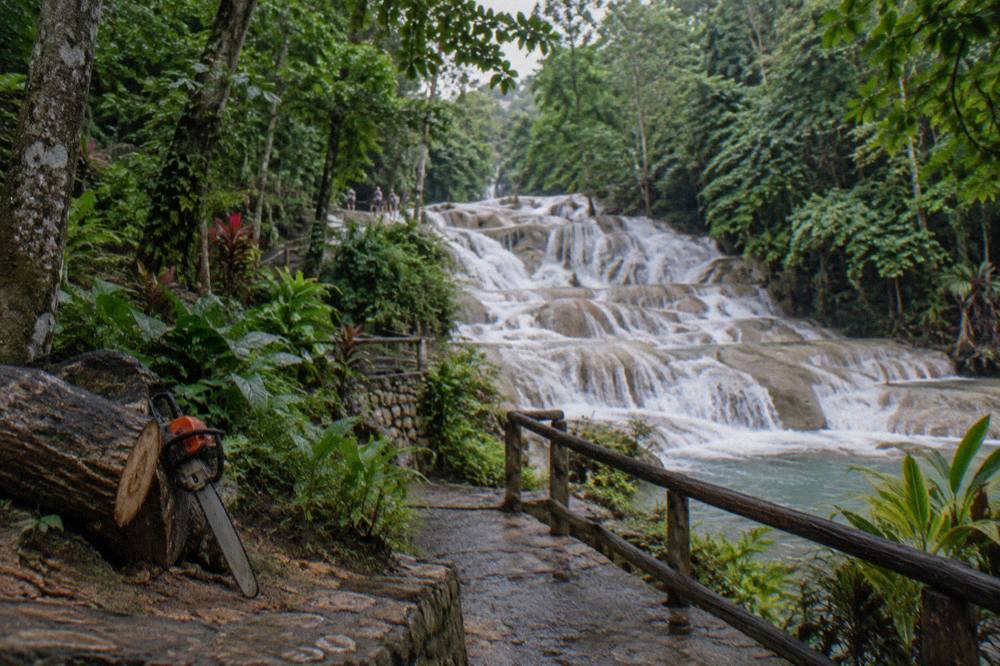 Water tumbling over pale limestone terraces surrounded by green tropical foliage