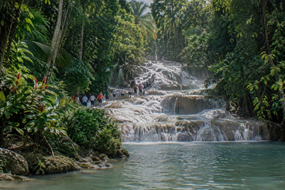 Guided group holding hands in a chain while wading up a rocky waterfall channel between green banks
