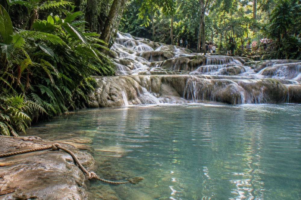 A calm natural pool midway up a waterfall terrace surrounded by wet limestone rock and green foliage