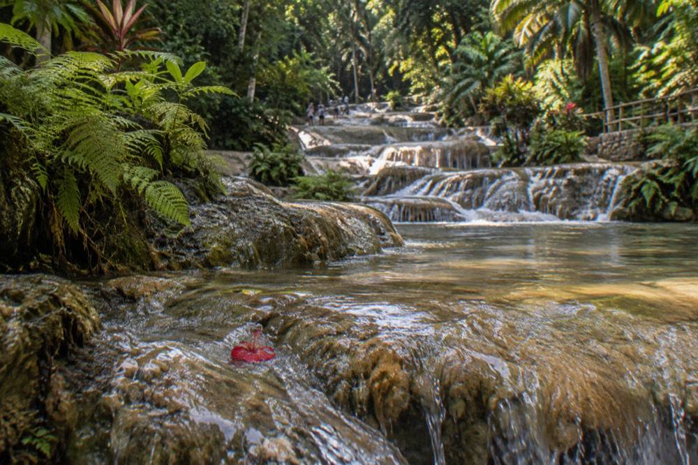 Cascading water spilling over stepped rock ledges fringed with tropical foliage