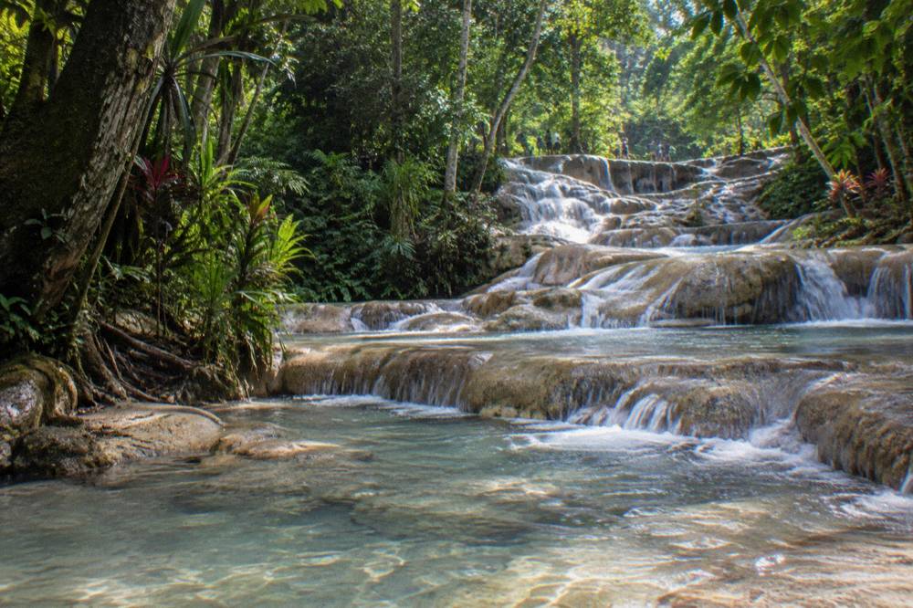 Shallow natural pool on a terraced waterfall with smooth limestone ledges and tropical trees overhead