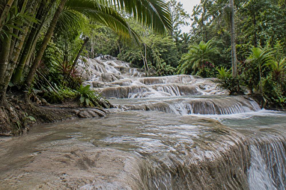 Water cascading over pale limestone steps of a terraced waterfall surrounded by tropical trees
