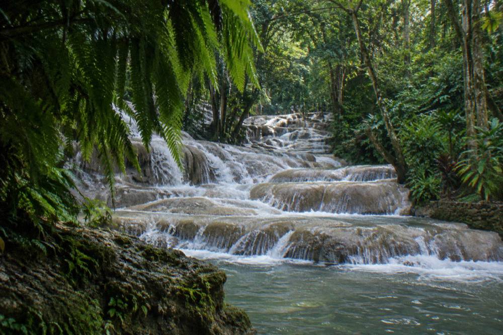 Turquoise natural pool at the base of a waterfall with rocks and overhanging green foliage