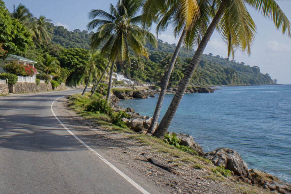 Coastal highway curving along a green shoreline with palm trees and calm blue sea