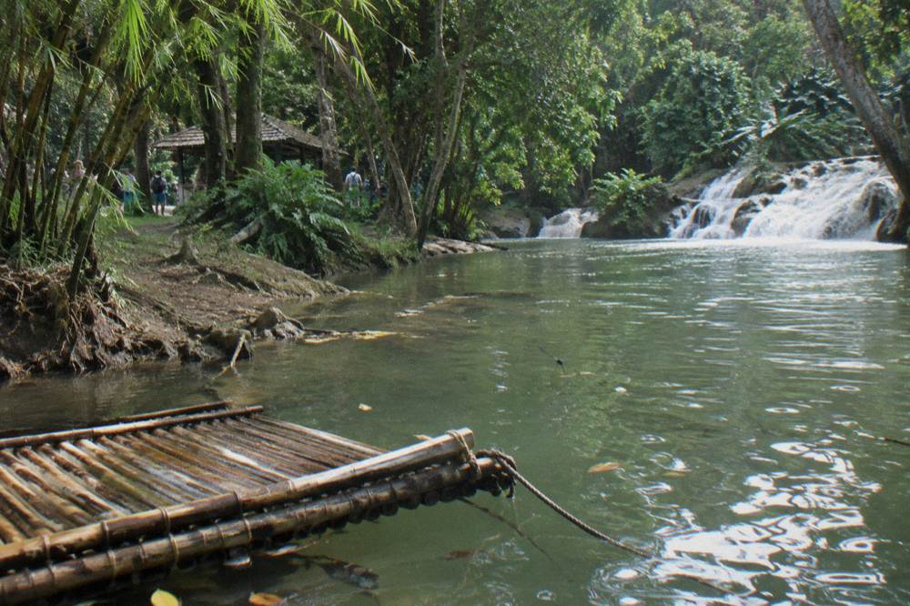 Empty wooden raft drifting on a calm green river between tall bamboo, dragonflies above, a rope off the stern