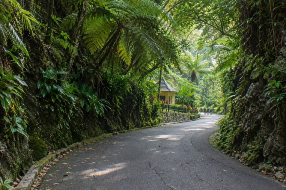 Coastal highway curving along palm trees toward a harbour town