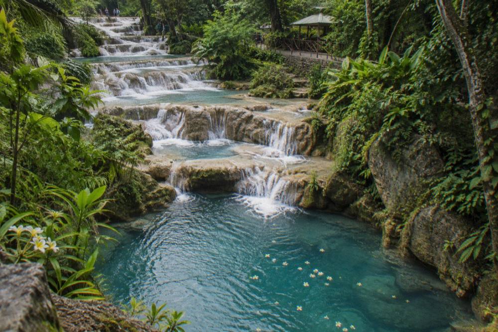 Turquoise waterfall pool surrounded by dense green forest and rocky ledges
