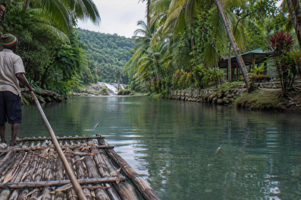 Wooden raft drifting along a calm jungle river between overhanging palm trees