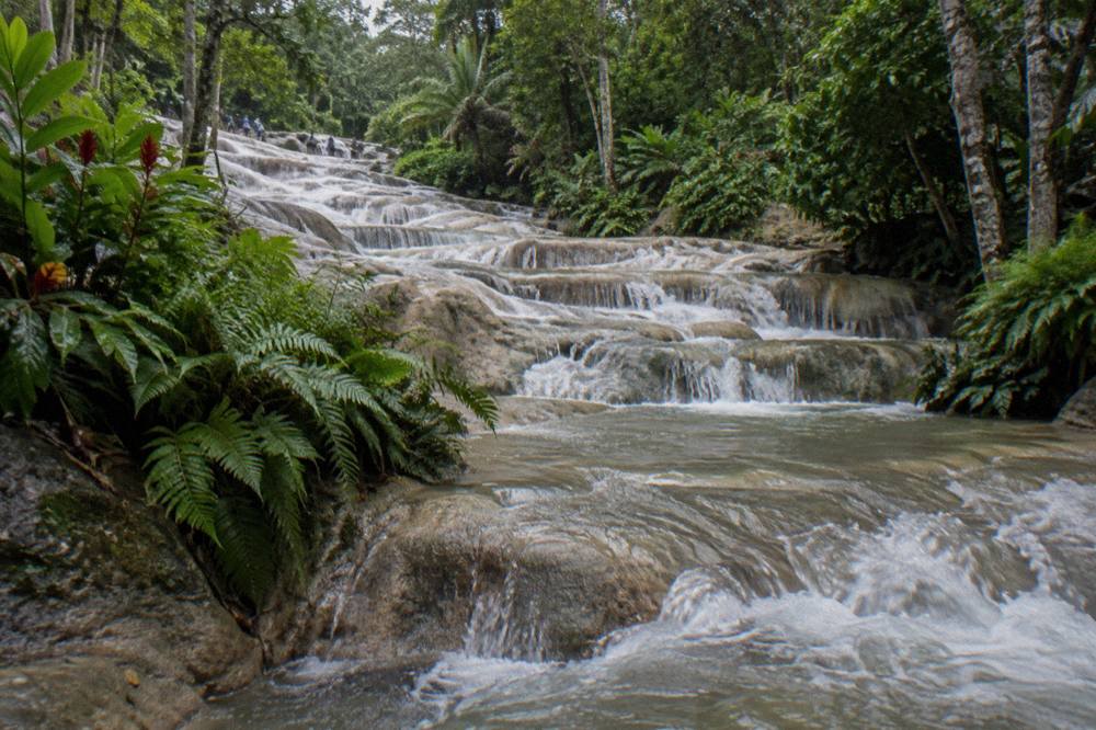 Water rushing over limestone steps of a tropical waterfall surrounded by dense green foliage
