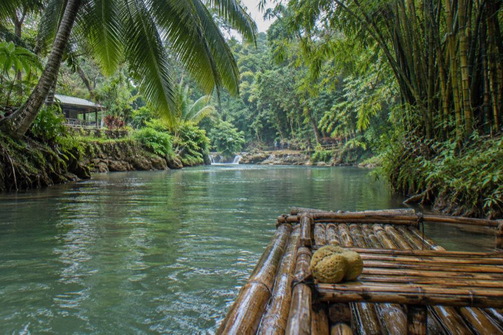 Bamboo raft drifting along a calm jungle river between overhanging trees