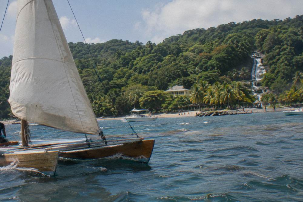 Wooden catamaran under full sail gliding along a palm-fringed tropical shoreline, canvas flapping in the wind