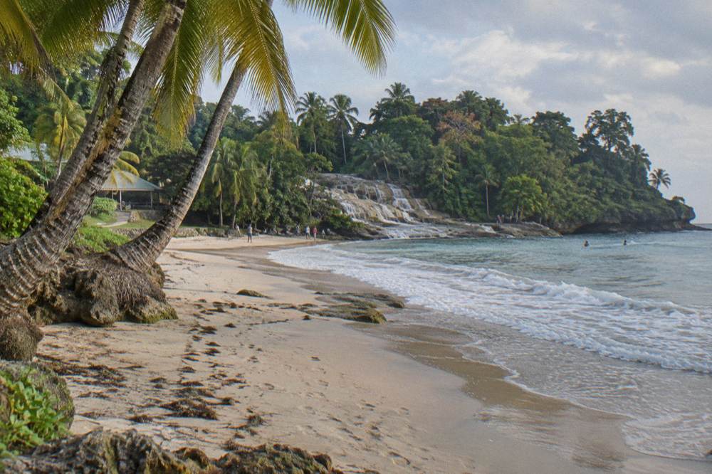 Golden light on a palm-lined beach, small waves reaching pale sand under coconut palms, distant figures