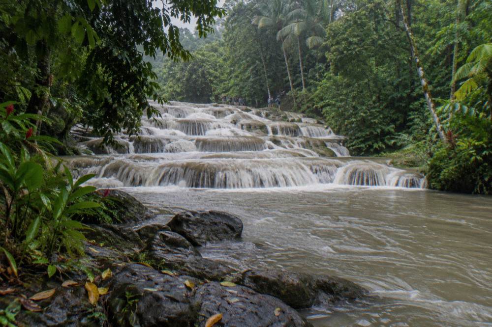 Lush tropical vegetation lining a river above a waterfall in St Ann Jamaica