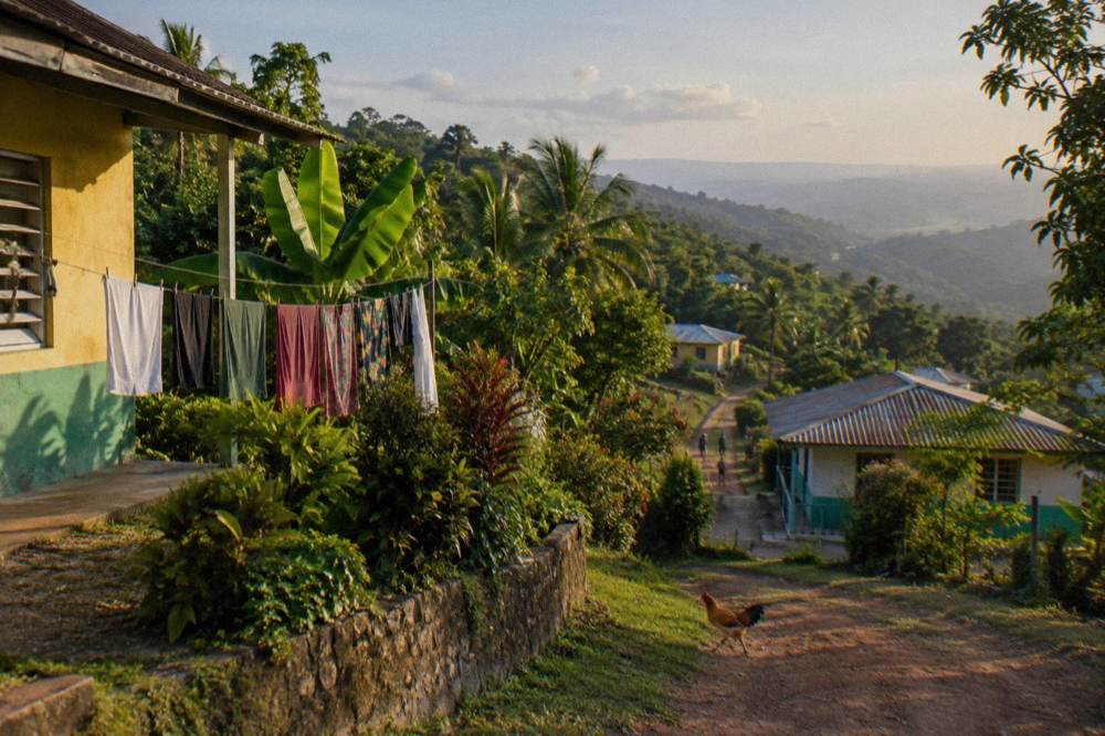 Small hillside village with simple painted houses surrounded by thick tropical vegetation