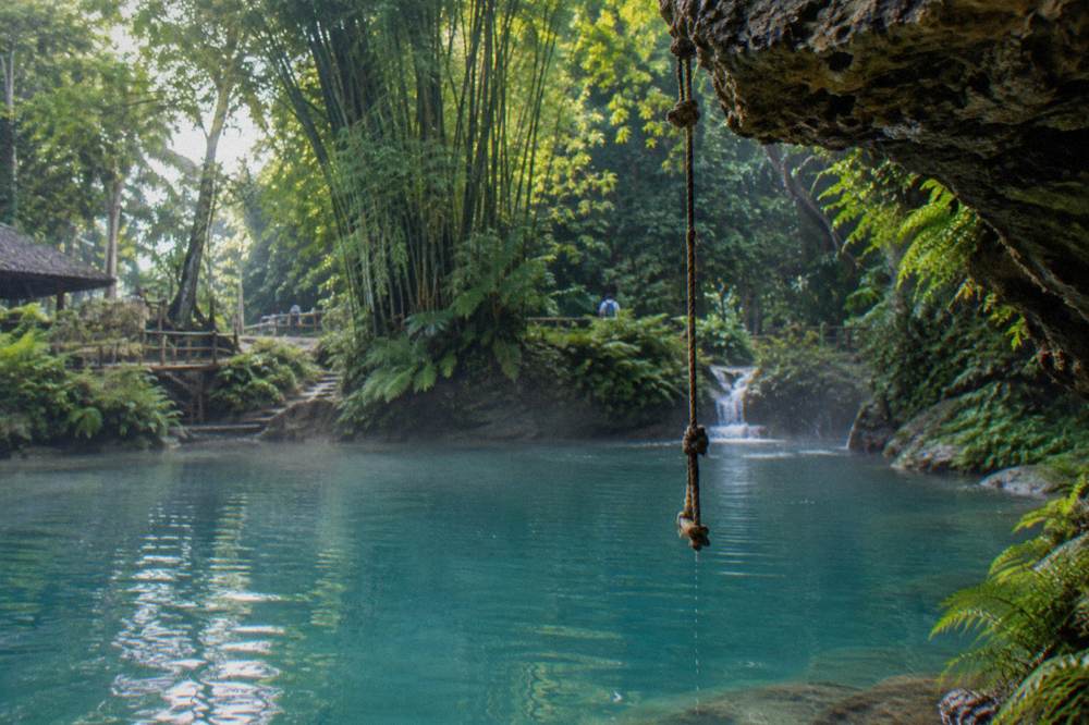 Calm turquoise river pool ringed by ferns and tall bamboo in Jamaican woodland