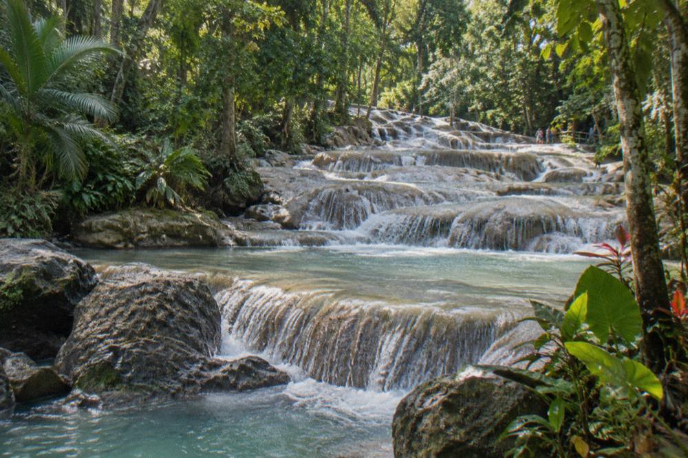 Water spilling over terraced limestone steps of a tropical waterfall surrounded by green forest