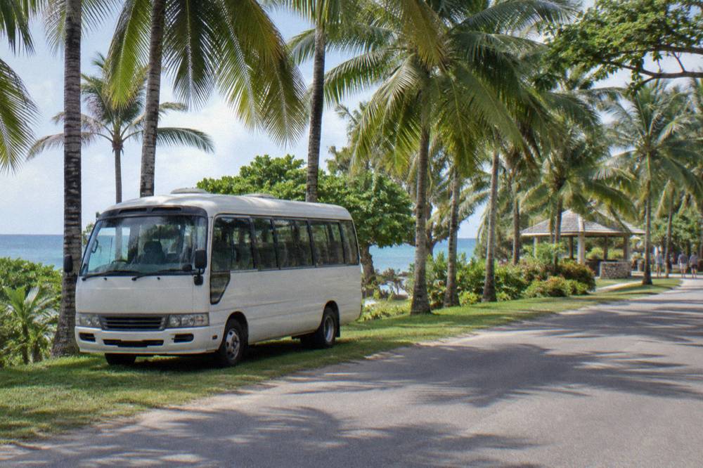White minibus parked under coconut palms beside a coastal road in St Ann