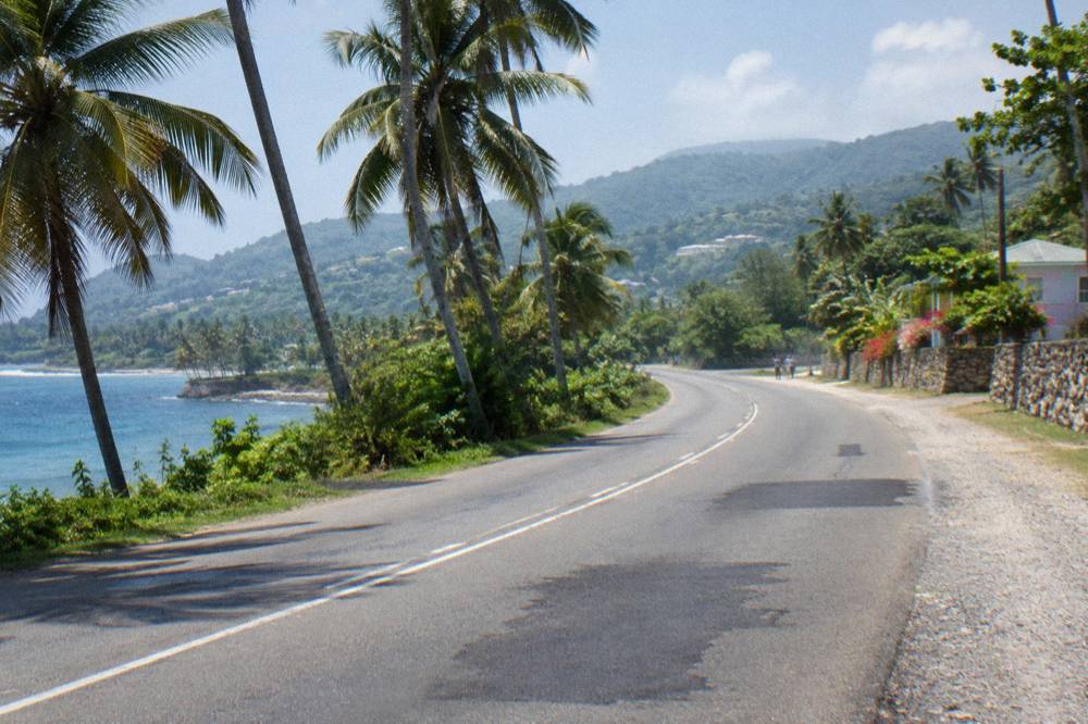 Empty two-lane coastal road curving past palm trees toward distant hills