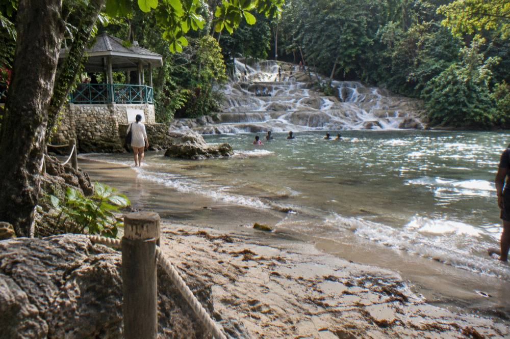 Warm mid-afternoon light on a quiet tropical beach with bare sand, calm water and green plants