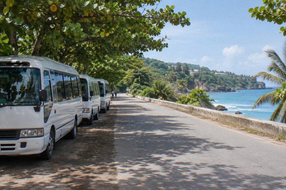 Line of licensed tour minibuses parked beside a tropical road near the coast