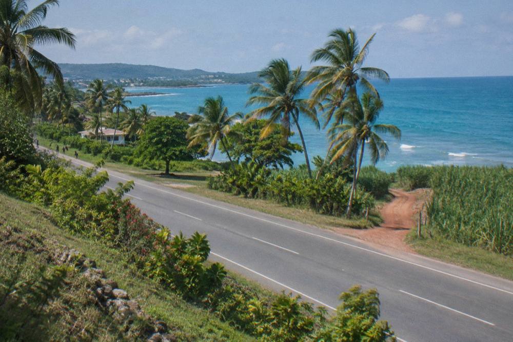 View along the A3 North Coast Highway near Runaway Bay with palm trees and sea to the north