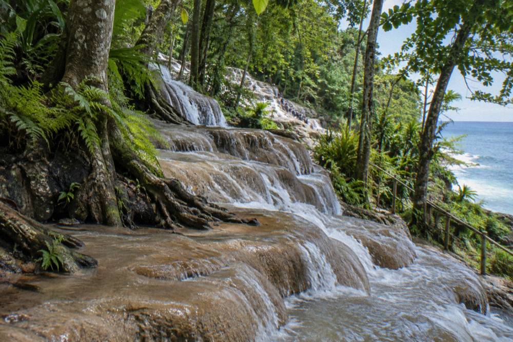Wet tan travertine waterfall steps with fresh water sheeting down ridged ledges between tree roots and ferns.