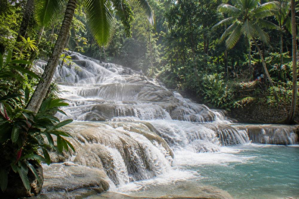 Cascading white water spilling over wide stone terraces shaded by palm trees