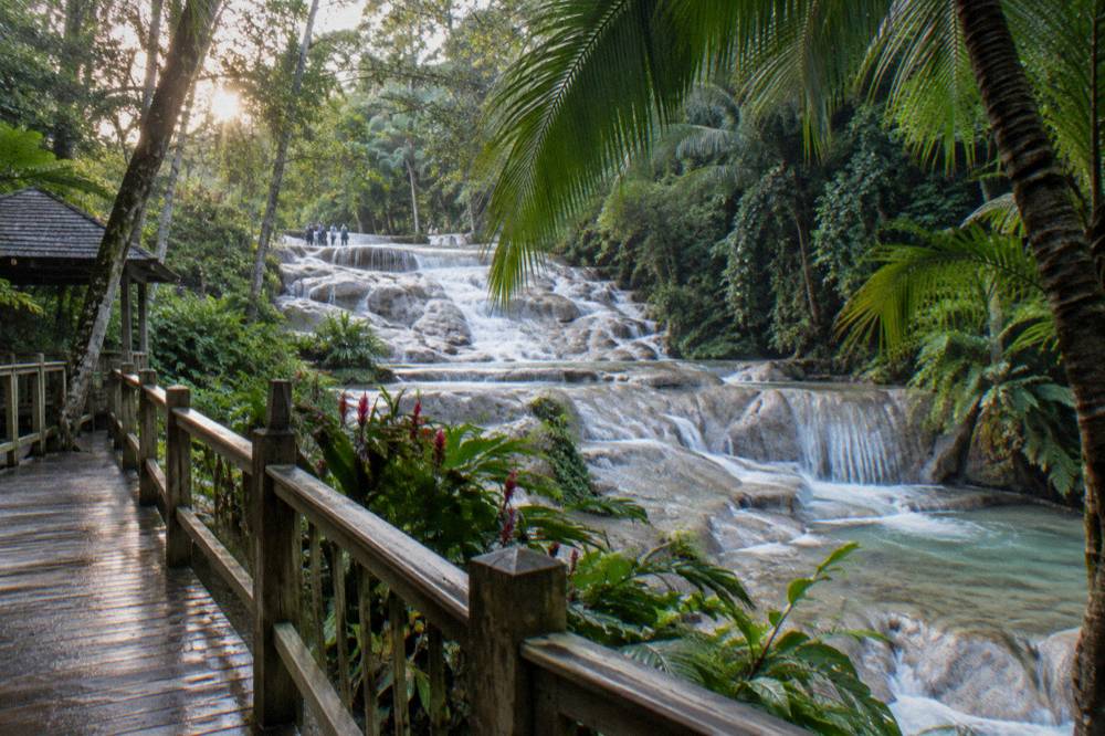 Wooden boardwalk and railing beside a waterfall within a green park landscape