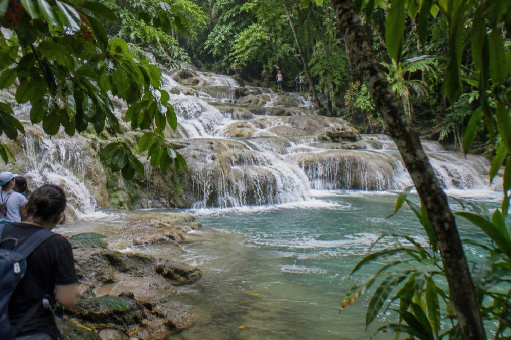 First light on still turquoise pools held in low limestone ledges, mist on the water, wet dripping leaves