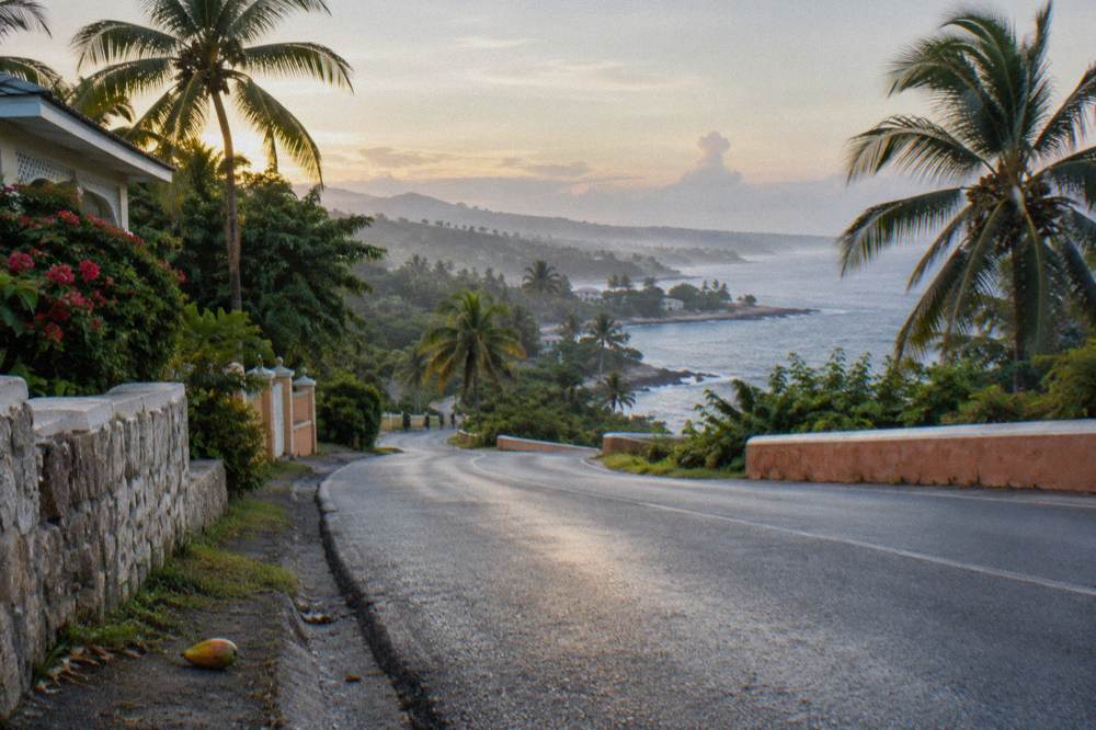 Winding coastal highway with palm trees along the Jamaican north shore