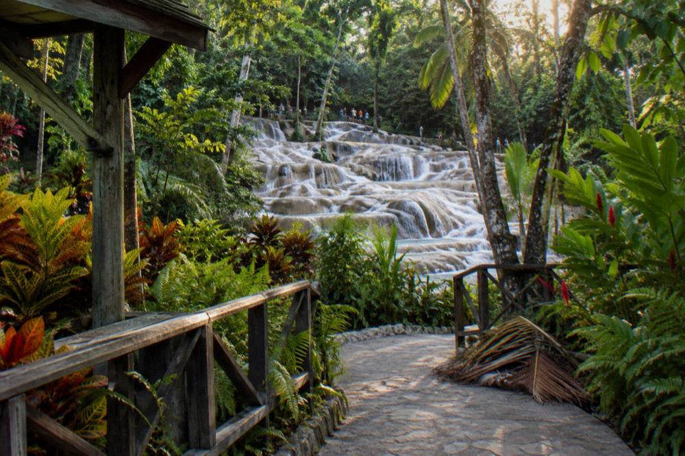Wooden signage and gardens at the entrance to a Jamaican waterfall park