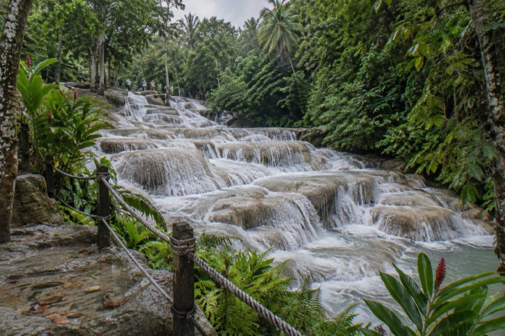 Water spilling down terraced limestone steps fringed with tropical foliage