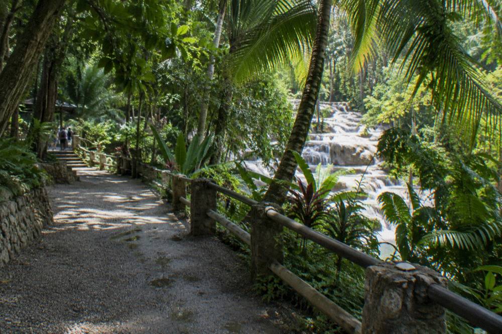 A shaded garden path running alongside a tropical waterfall