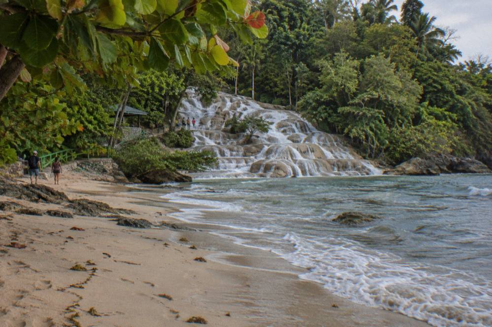 Golden light on a calm beach where fresh water spills into the Caribbean, wet footprints and green branches