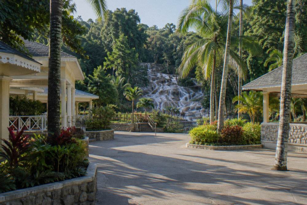 Entrance plaza of a tropical park with palm trees and a pathways leading toward the falls