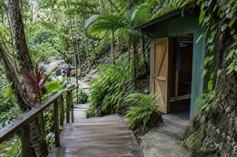 Worn wooden stairs and plank path through dense jungle, ferns, hanging vines, a changing hut with open door.