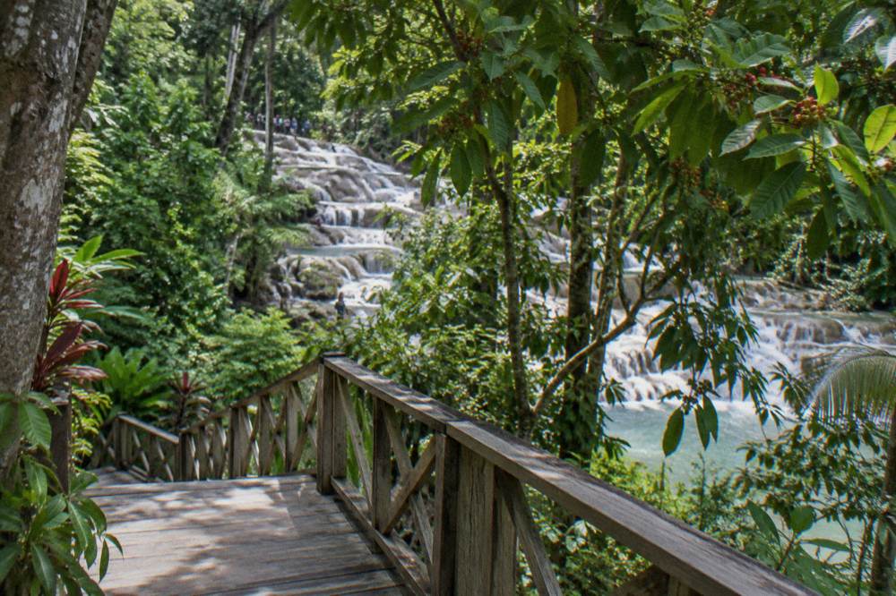 Wooden boardwalk and stairs beside a cascading tropical waterfall in lush greenery