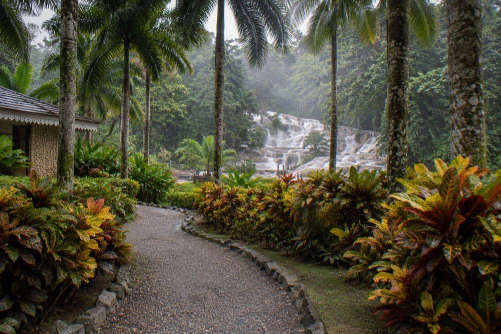 Trail and garden path leading toward a tall waterfall surrounded by dense tropical foliage