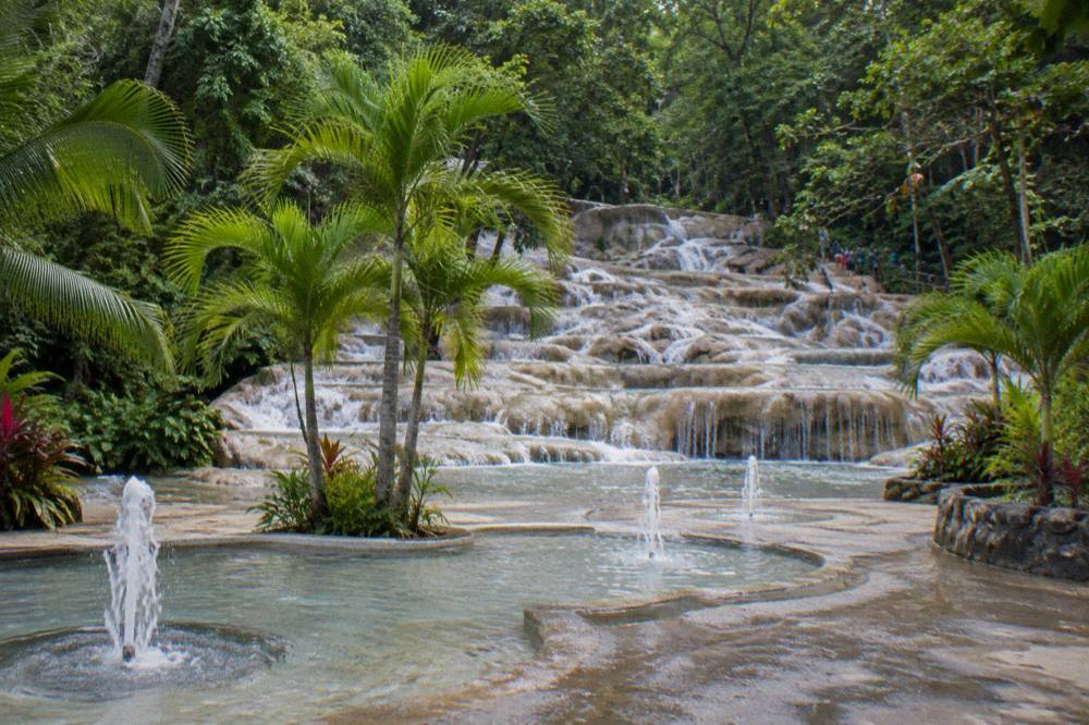 Shallow splash play area with fountains beside palm trees in a park