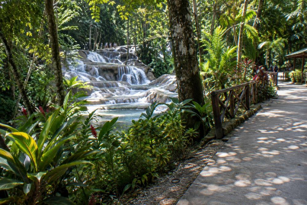 Visitors walking a paved path between palm trees toward park exit stalls