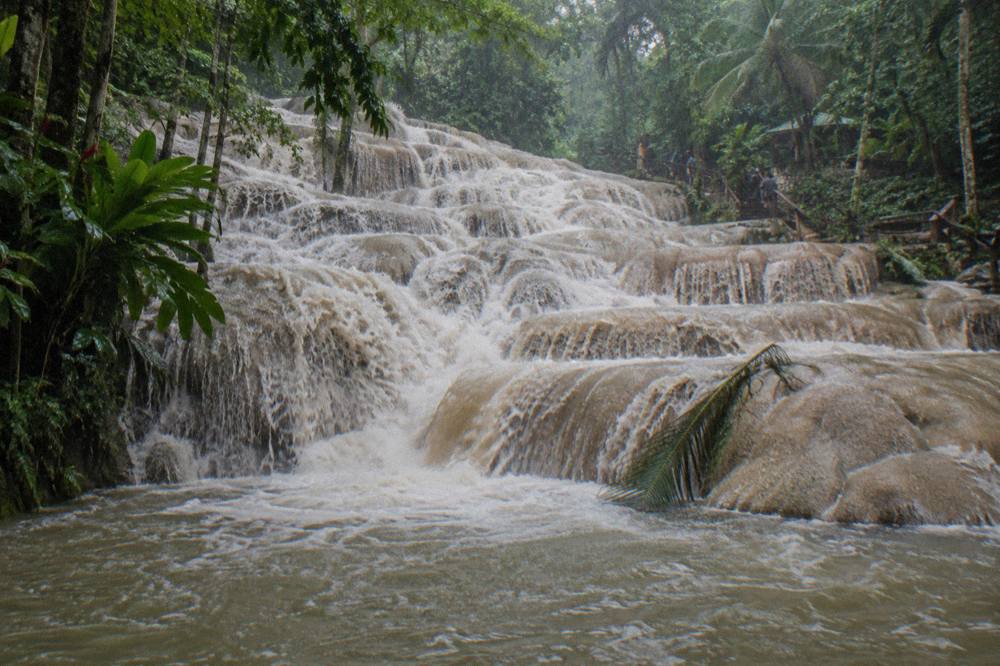 Terraced waterfall cascading through tropical forest into a natural pool at Dunn's River Falls
