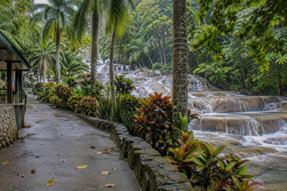 Palm trees and tropical vegetation lining a walkway beside a waterfall in a Jamaican park