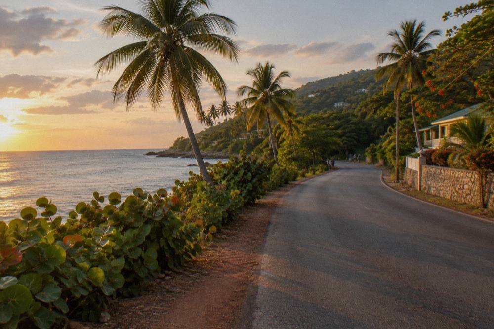 Coastal highway curving along the shoreline with palm trees and blue Caribbean water
