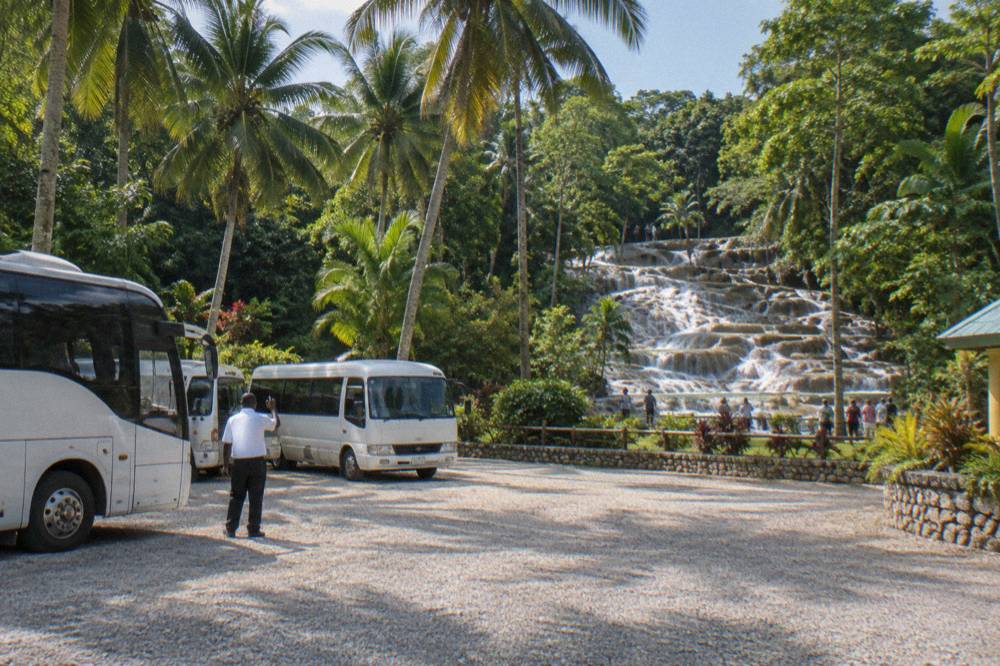 Tour buses parked in a lot beside a tropical park entrance with palm trees
